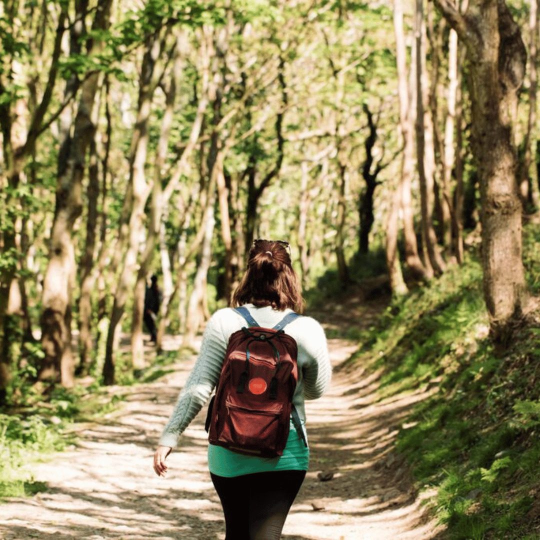 Green Travel - Hiking - Woodland