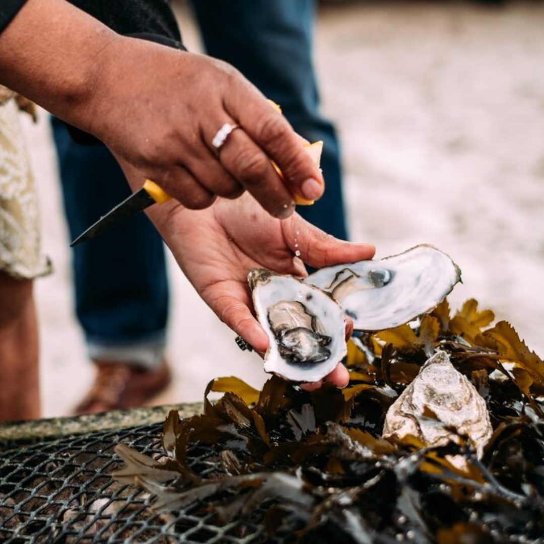 Sustainable Activities - Local Oysters